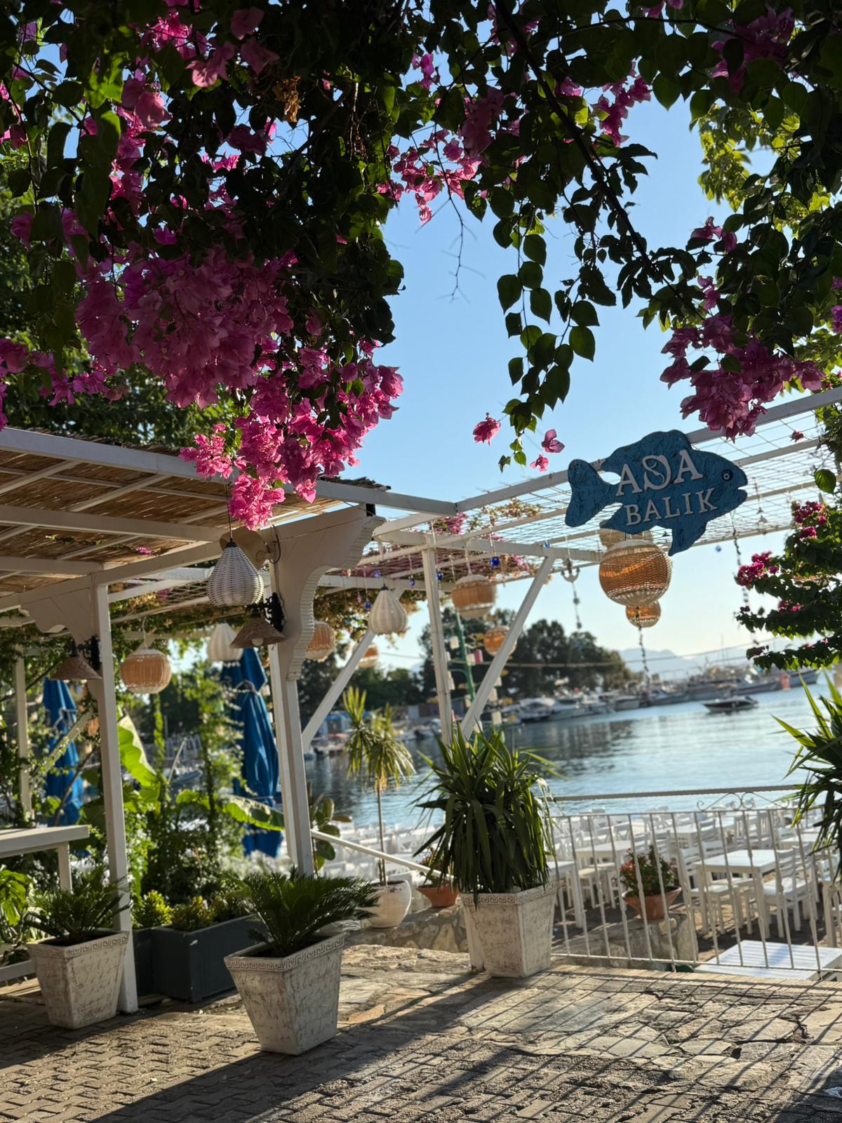 Ada Balik Datca tabela, begonvil cicekleri ve liman manzarasi